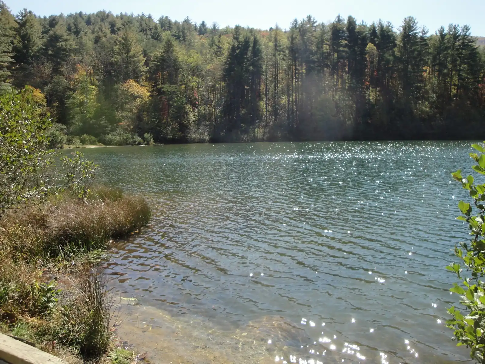 A small rippling mountain lake glittering in sunlight, ringed by tall pines and hardwoods with the first yellow and orange autumn leaves, grasses and shrubs along the near shore.