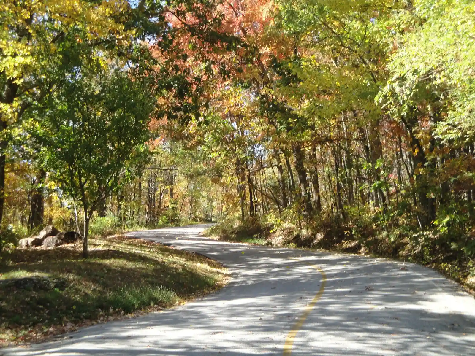 A narrow paved road with a yellow center line curves through woodland of red, orange, yellow and green autumn foliage, with dappled sunlight on the grass verge.