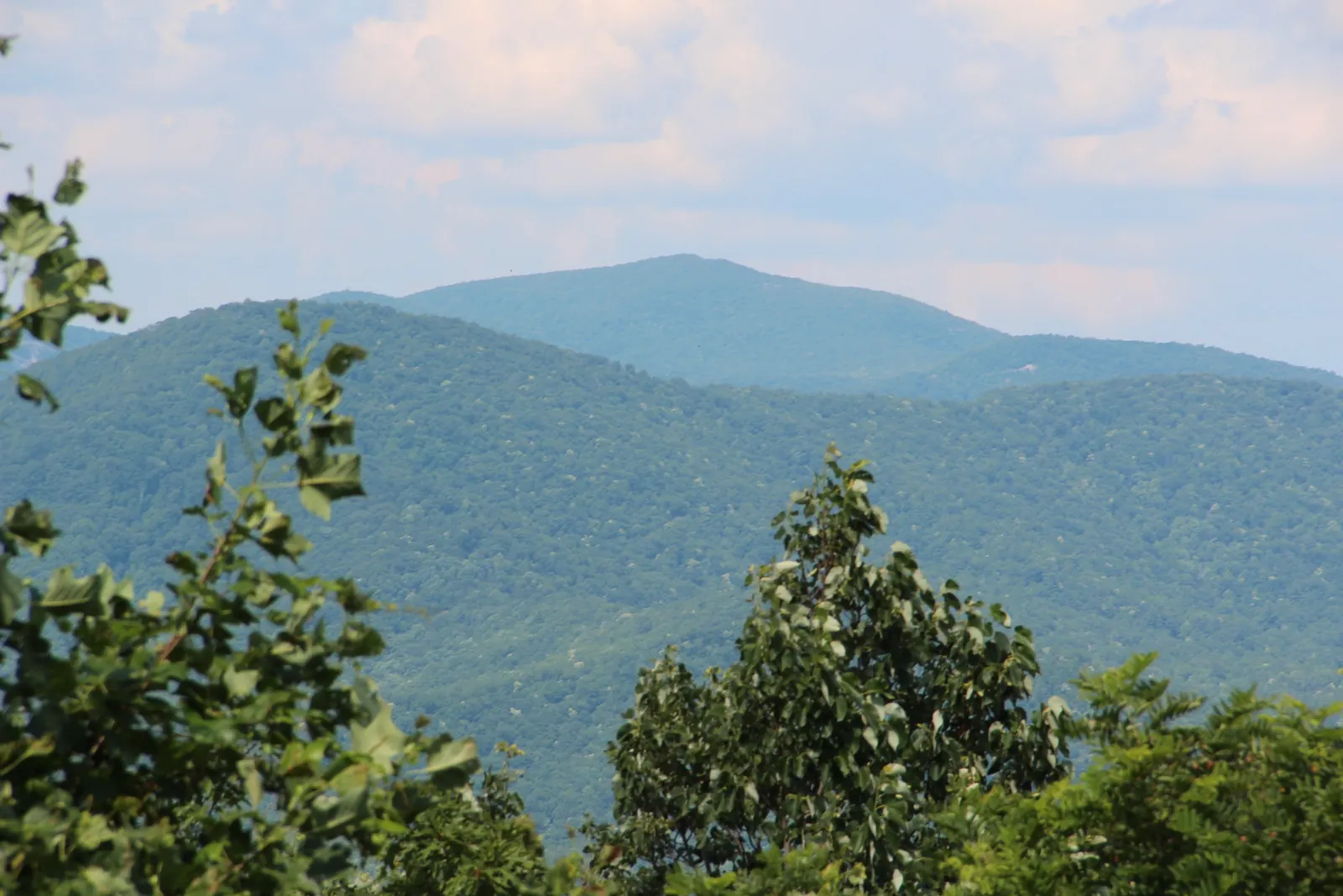 A tall forested mountain summit rising above green ridges, framed by leafy branches in the foreground, under a hazy sky with soft clouds.