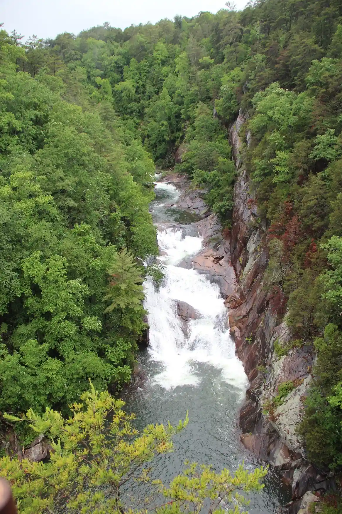 Vertical view down a narrow rock-walled gorge to a white waterfall pouring into a green pool, with trees clinging to the cliffs on both sides.