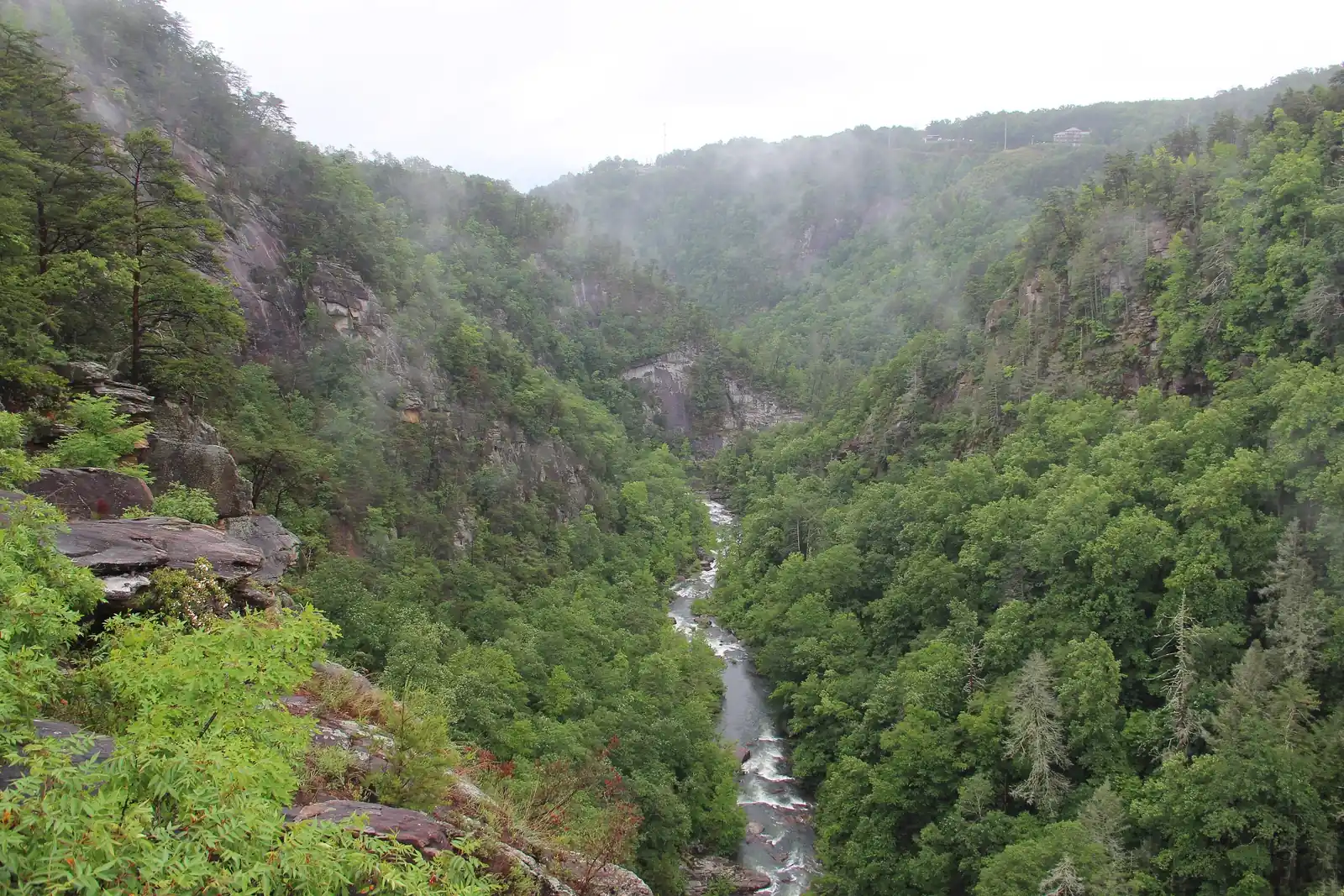 Looking down a misty, densely forested gorge with rock outcrops on the left wall and a river running along the floor between steep green slopes under a pale overcast sky.