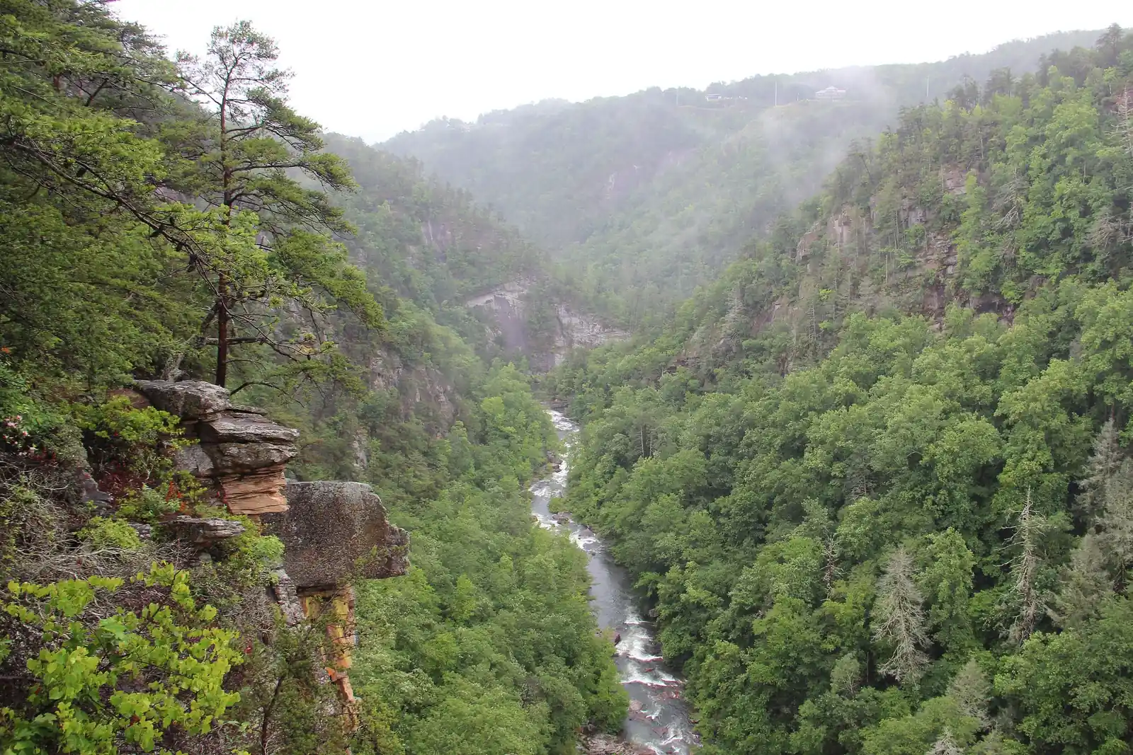 View from the rim down into a deep, steep-sided forested gorge with a rocky pine-topped outcrop in the foreground at left and a white-water river winding along the bottom, wisps of mist on the far slopes.
