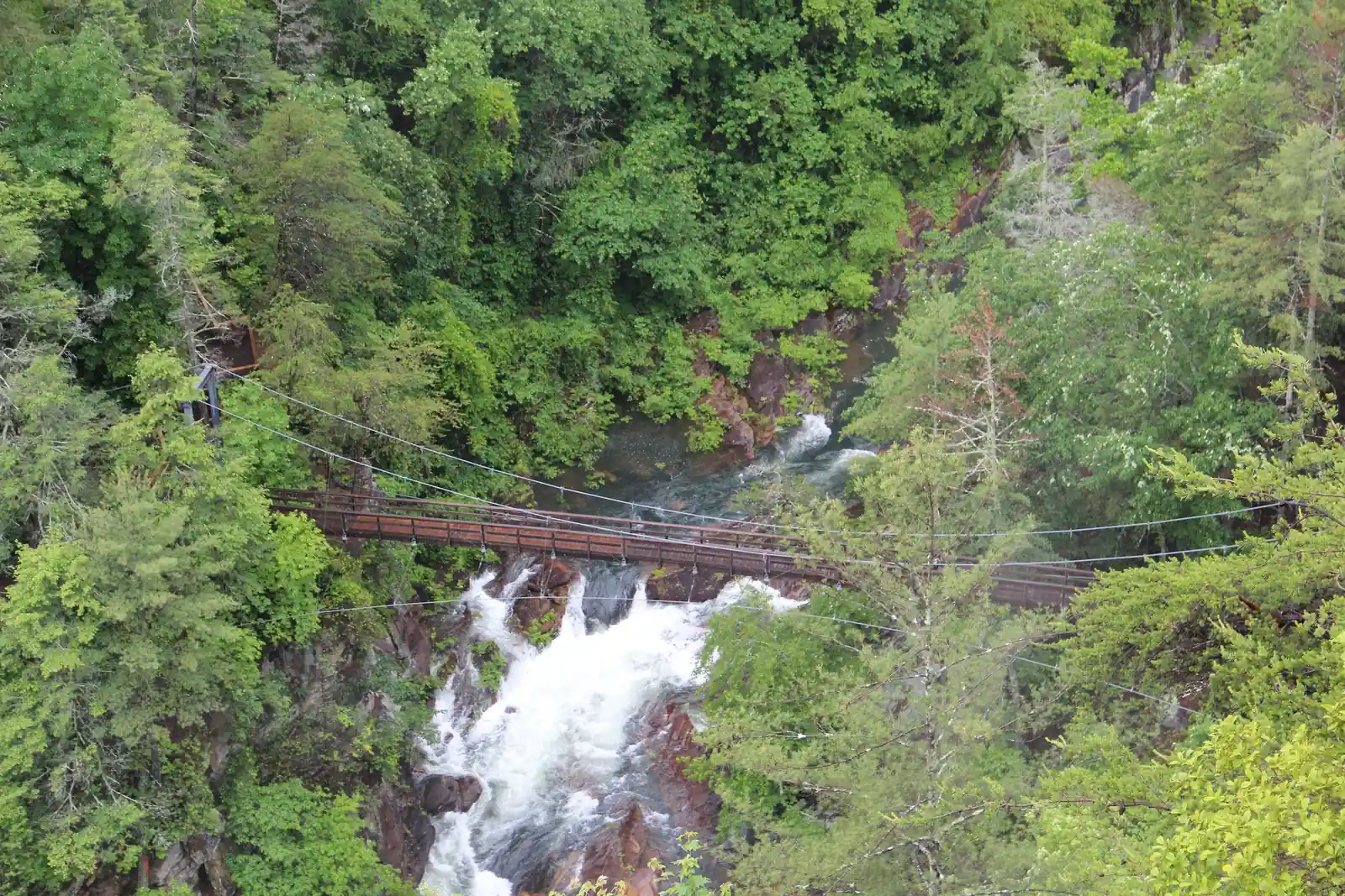 Looking down through green trees onto a narrow steel suspension footbridge strung across a gorge above a foaming white cascade tumbling over rocks.