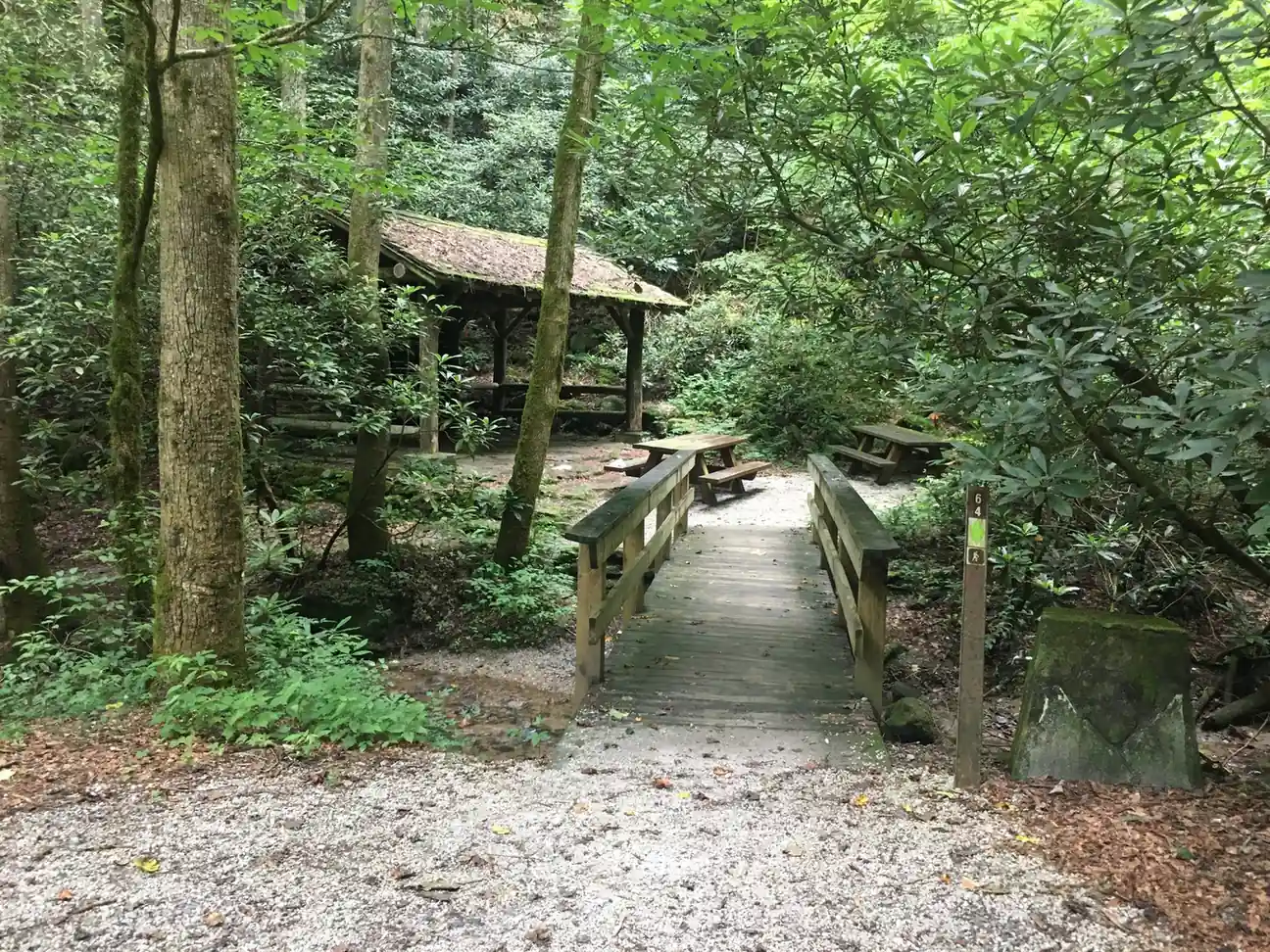 A wooden footbridge on a gravel path leads into a shady forest picnic area with a timber-roofed shelter and picnic tables among tall trees and rhododendron.