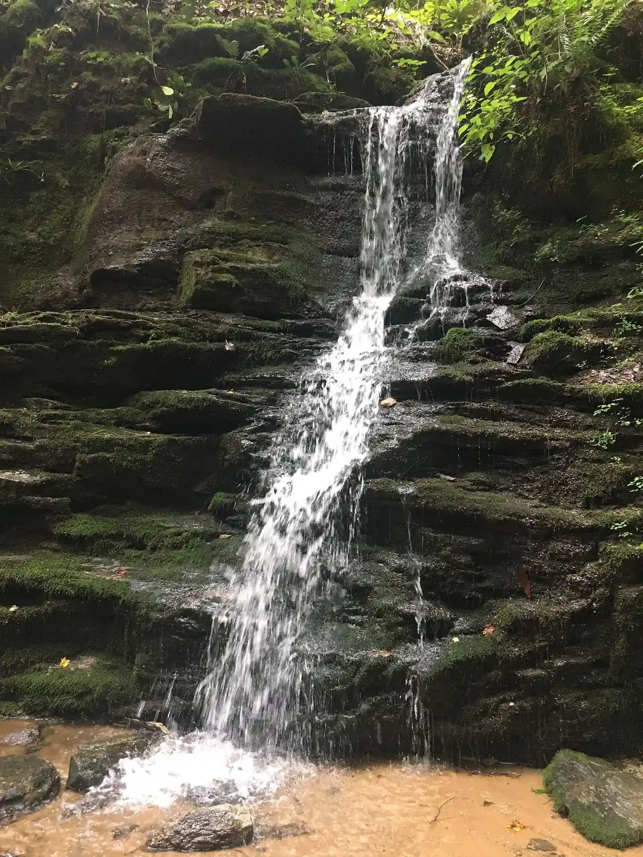 A thin waterfall streaming down a mossy, layered dark rock face into a shallow pool with sandy orange gravel.